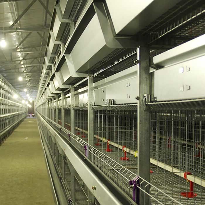 Geflügelzucht-Hühnerkäfig-Draht, beständiger High-Techer Hühnerhochtemperaturkäfig