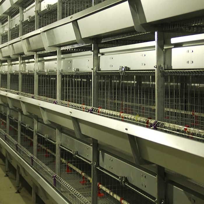 Galvanisierter Stahl ein Käfig für Geflügel, automatischer Leiter-Schicht-Hühnerkäfig
