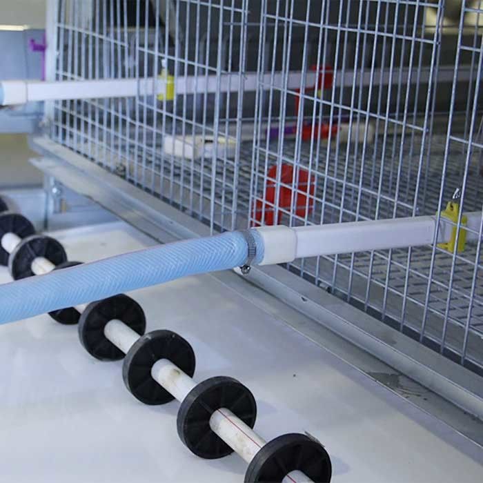 Galvanisierter Stahl ein Käfig für Geflügel, automatischer Leiter-Schicht-Hühnerkäfig