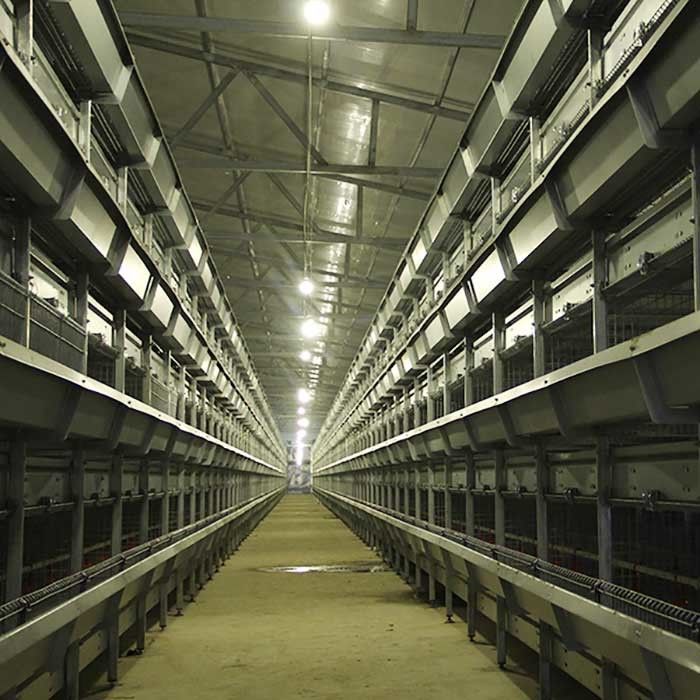 Weniger Zufuhr-Verschwendungs-Innenhühnerkäfig, Selbstfütterungs-Geflügelfarm-Käfig