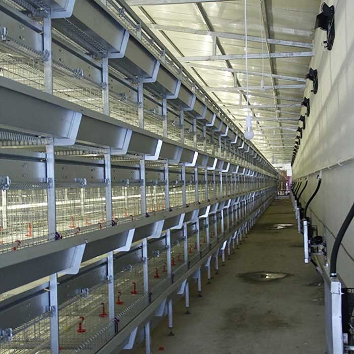 195 * 50 * 35CM Küken-Brutkasten-Käfig, hohe Leistungsfähigkeits-Käfig-Schicht-Landwirtschaft