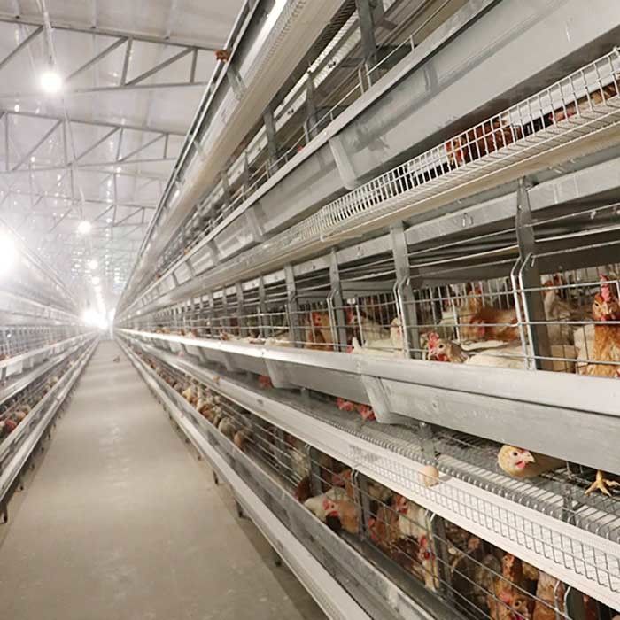 Automatische legende Geflügelfarm-Ausrüstungen, die H Vögel 4Tiers 192 schreiben, überlagern Batterie-Hühnerkäfig für Afrika-Märkte