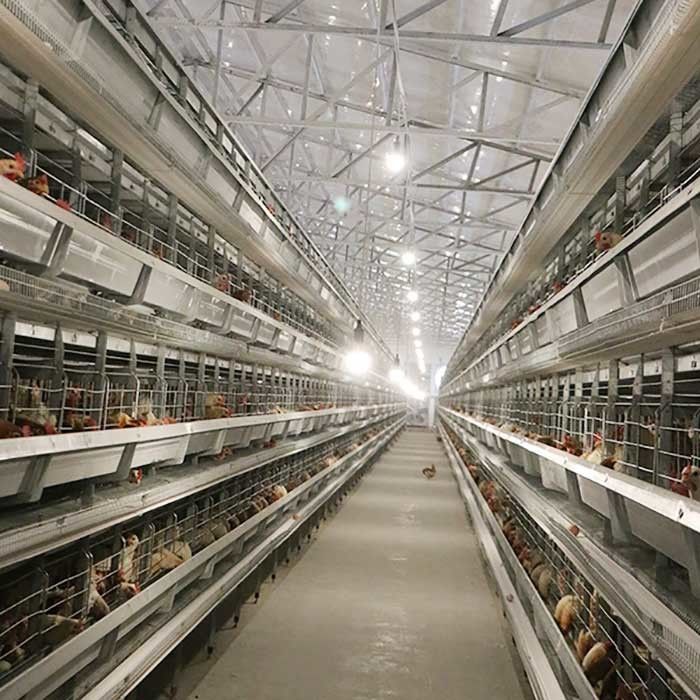 Automatische legende Geflügelfarm-Ausrüstungen, die H Vögel 4Tiers 192 schreiben, überlagern Batterie-Hühnerkäfig für Afrika-Märkte