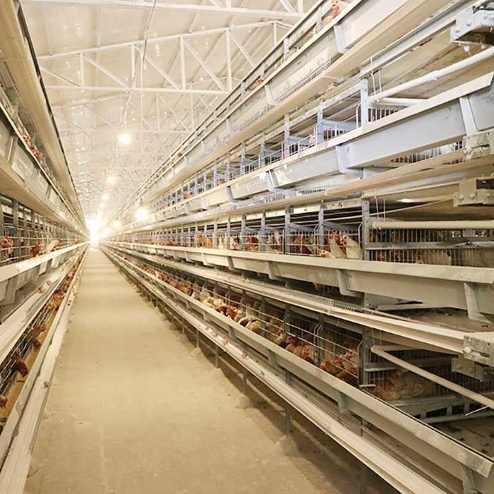Automatische legende Geflügelfarm-Ausrüstungen, die H Vögel 4Tiers 192 schreiben, überlagern Batterie-Hühnerkäfig für Afrika-Märkte