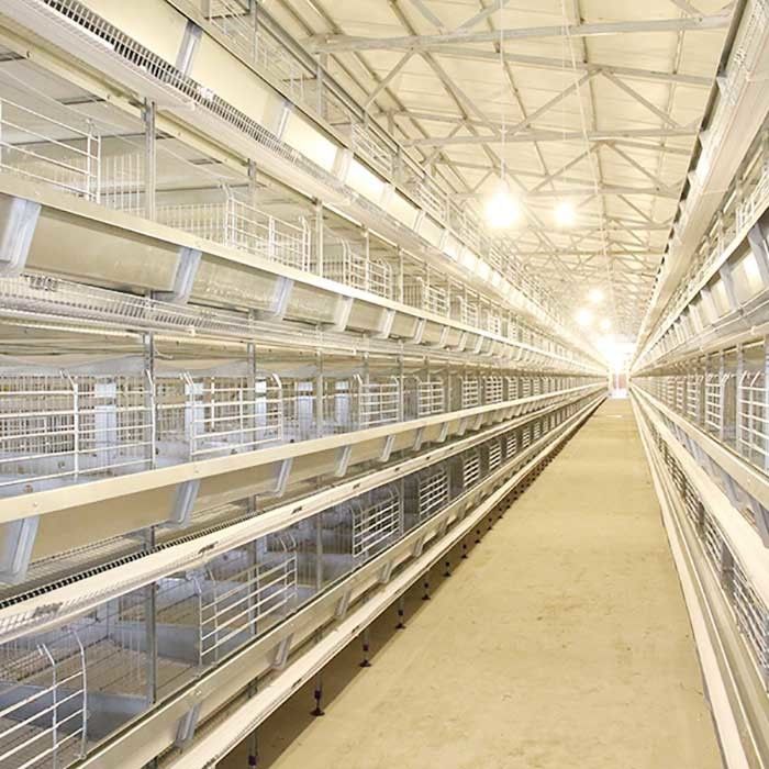 Schicht-Hühnerkäfig fertigen des Stahldraht-Q235 mit Fütterungs/trinkendem System kundenspezifisch an