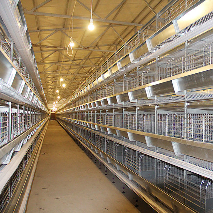 Starker Geflügelfarm-Käfig, h-Art Schicht-Hühnerkäfig mit Lüftungs-System