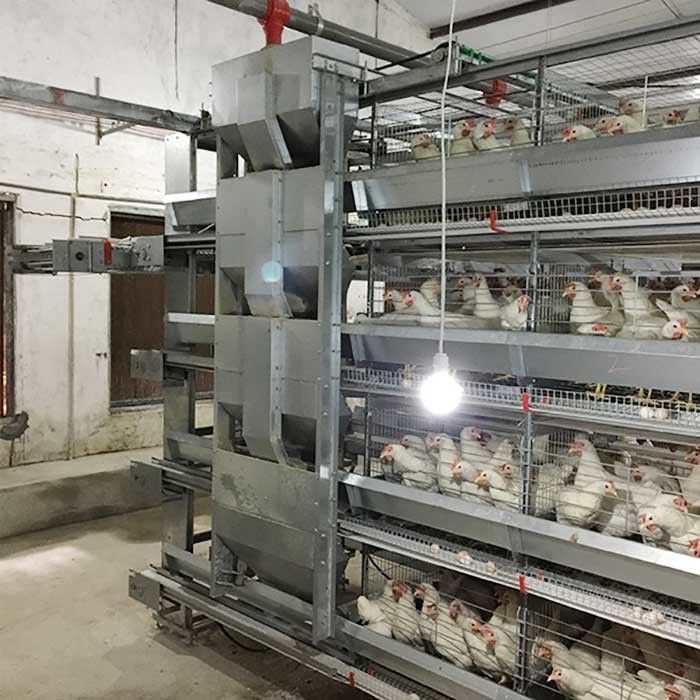 120 * 60 * 70cm Geflügel-Hühnerkäfig-Steuerungs-Arbeitseinsparung Eco freundlich