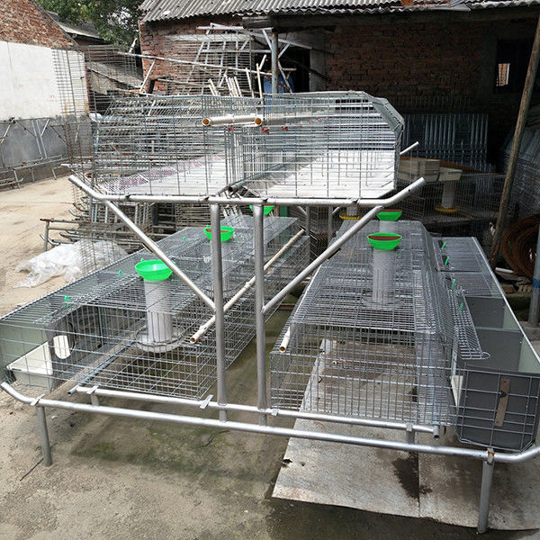 12 Mamas bewirtschaften Kaninchen-Käfig-heißen eingetauchten galvanisierten materiellen Stahlsplitter/grüne Farbe
