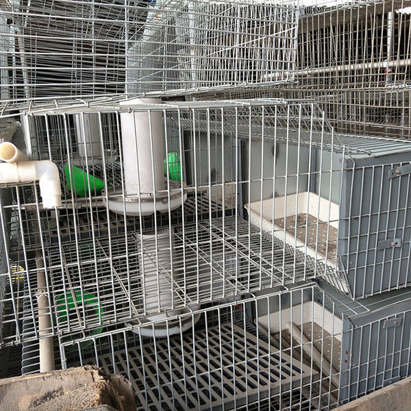 24 Reihen-einfaches Reinigungs-langlebiges Gut des Zellbatterie-funktionierendes Bauernhof-Kaninchen-Käfig-zwei