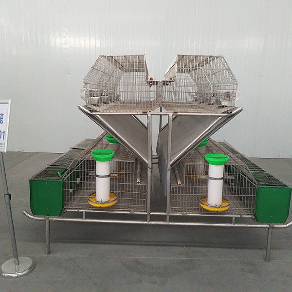Draht-Boden-kundenspezifischer Kaninchen-Käfig, große Handelskaninchenzucht-Käfige