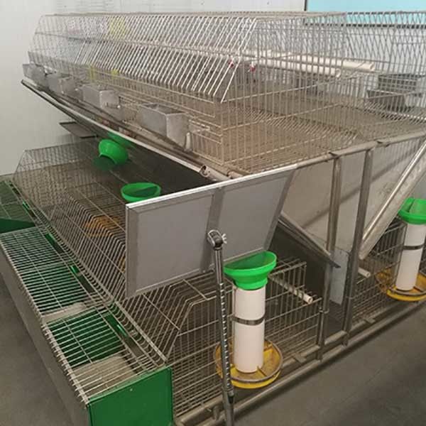 Hochleistungs-Bauernhof-Kaninchen-Käfig-Antikorrosion galvanisiertes einfaches Oberflächenc$trinken