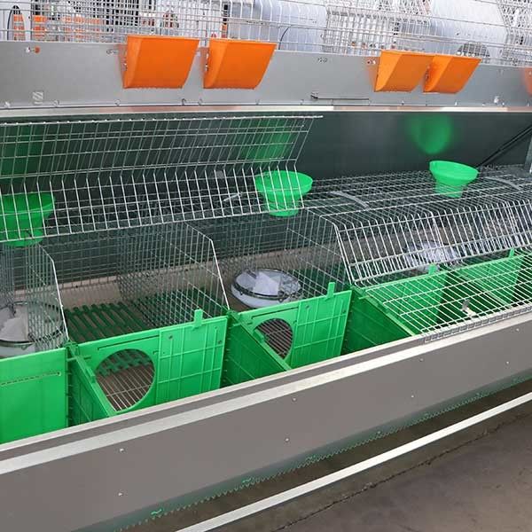 Züchtender Kaninchen-Kaninchenstall mit automatischem Heck-Kollektor, silberne Handelskaninchen-Wohnung