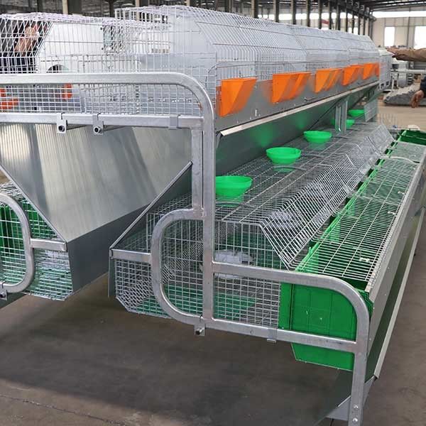 2400 * 2000 * 1500mm Bauernhof-Kaninchen-Käfig für die Errichtung/, die Containerverschiffung züchtet