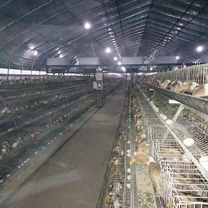 Eine Rahmen-Hühnerschicht-Duck Breeding Farming Cage For-Geflügelfarm