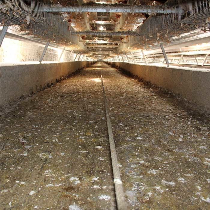 Stabile Energie-lange Garantie des Leistungs-automatische Düngemittel-Abbau-System-0.75kw