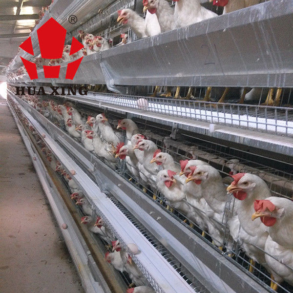 Vogel-heißer galvanisierter legender Hen Farming Equipments Layer Chicken-Käfig des Käfig-Hersteller-90 - 160