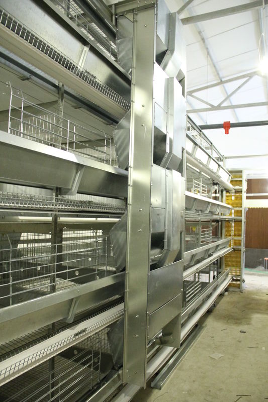 4 Reihe Hühnerei-Geflügelfarm-Käfig-heißes Bad-galvanisierte gehende Zufuhr-Maschine