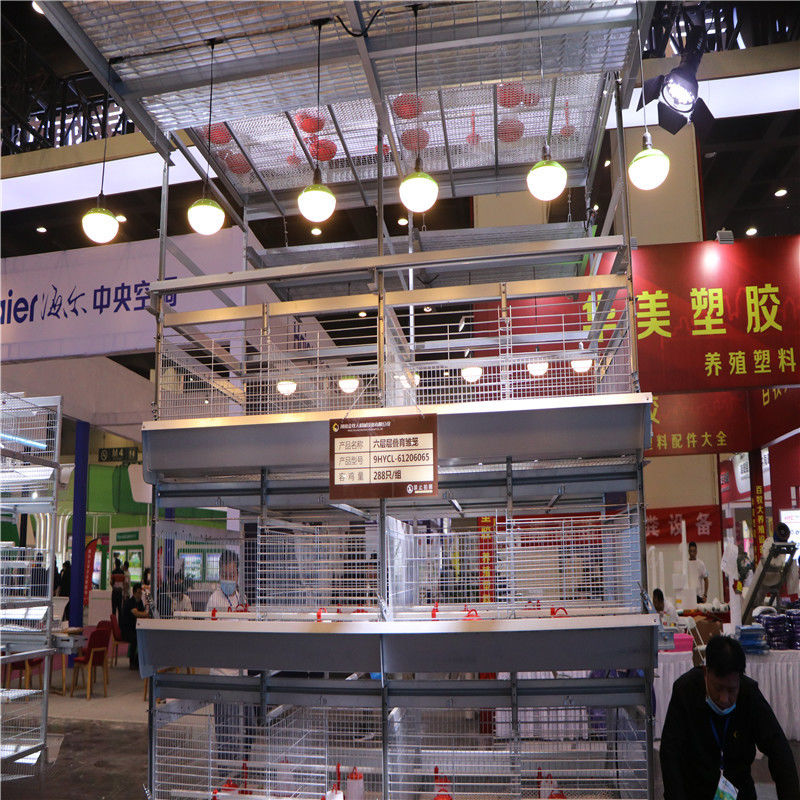 Baby-Chick Cages H des Stahldraht-Q235 Typ- 1tag zum 40 Tagesküken