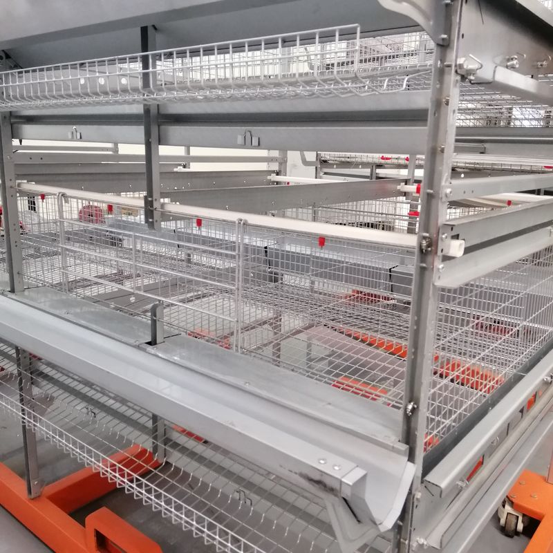 Dauerhafter automatischer Duck Cage Factory Commercial Duck-Käfig für Eier