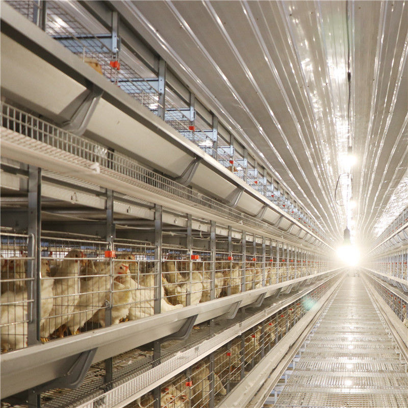 Rostschutzei-Schicht-Hühnerkäfig mit Fütterungstrinkendem System des systems
