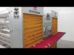 96 - 160 Birds A Type Poultry Cage Automatic High Rearing Efficiency