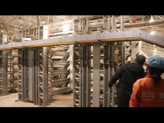 Automatischer Legehennenkäfig für Wachteln