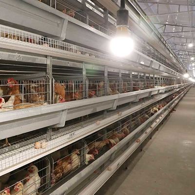 Automatische legende Geflügelfarm-Ausrüstungen, die H Vögel 4Tiers 192 schreiben, überlagern Batterie-Hühnerkäfig für Afrika-Märkte